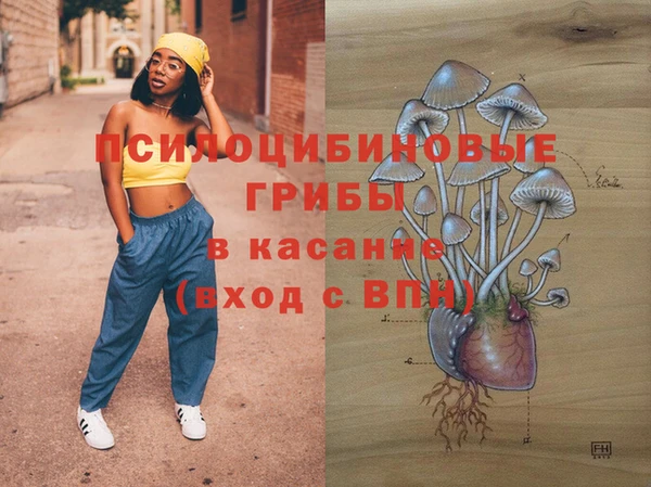 кристаллы Гусев