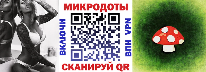 хочу   Давлеканово  Псилоцибиновые грибы Psilocybe 